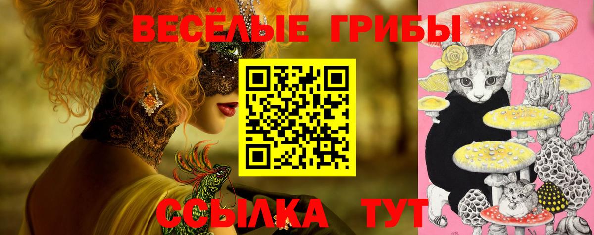 Галлюциногенные грибы Magic Shrooms  Вход с VPN  Саров 